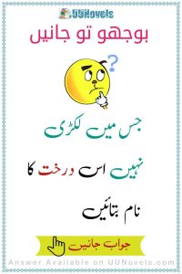 Urdu Paheli with answer